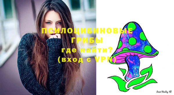 бошки Арсеньев
