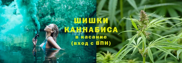 крисы Балахна