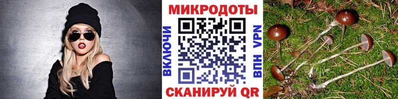 Псилоцибиновые грибы MAGIC MUSHROOMS  Купить  Гурьевск 